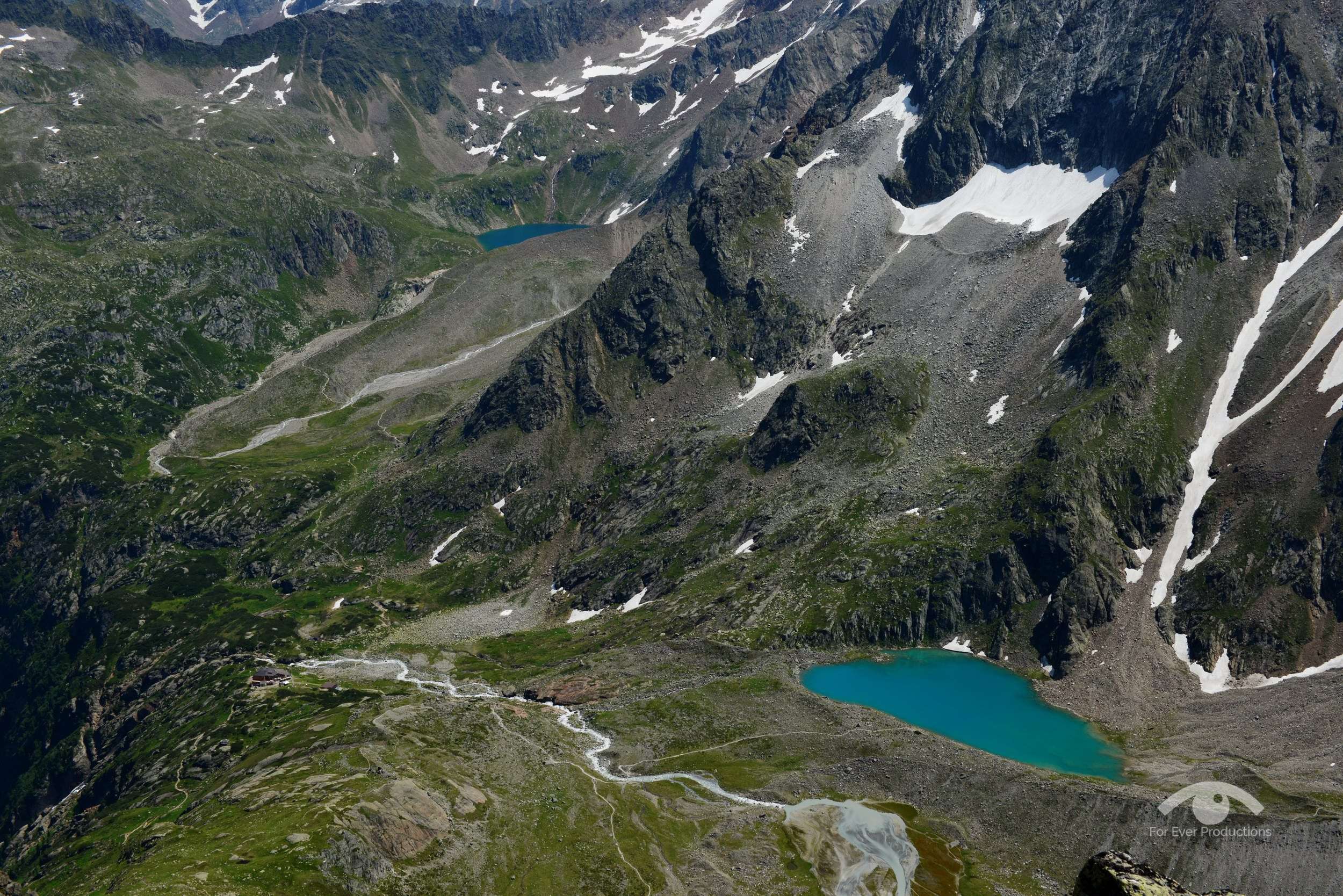 Großer Trögler