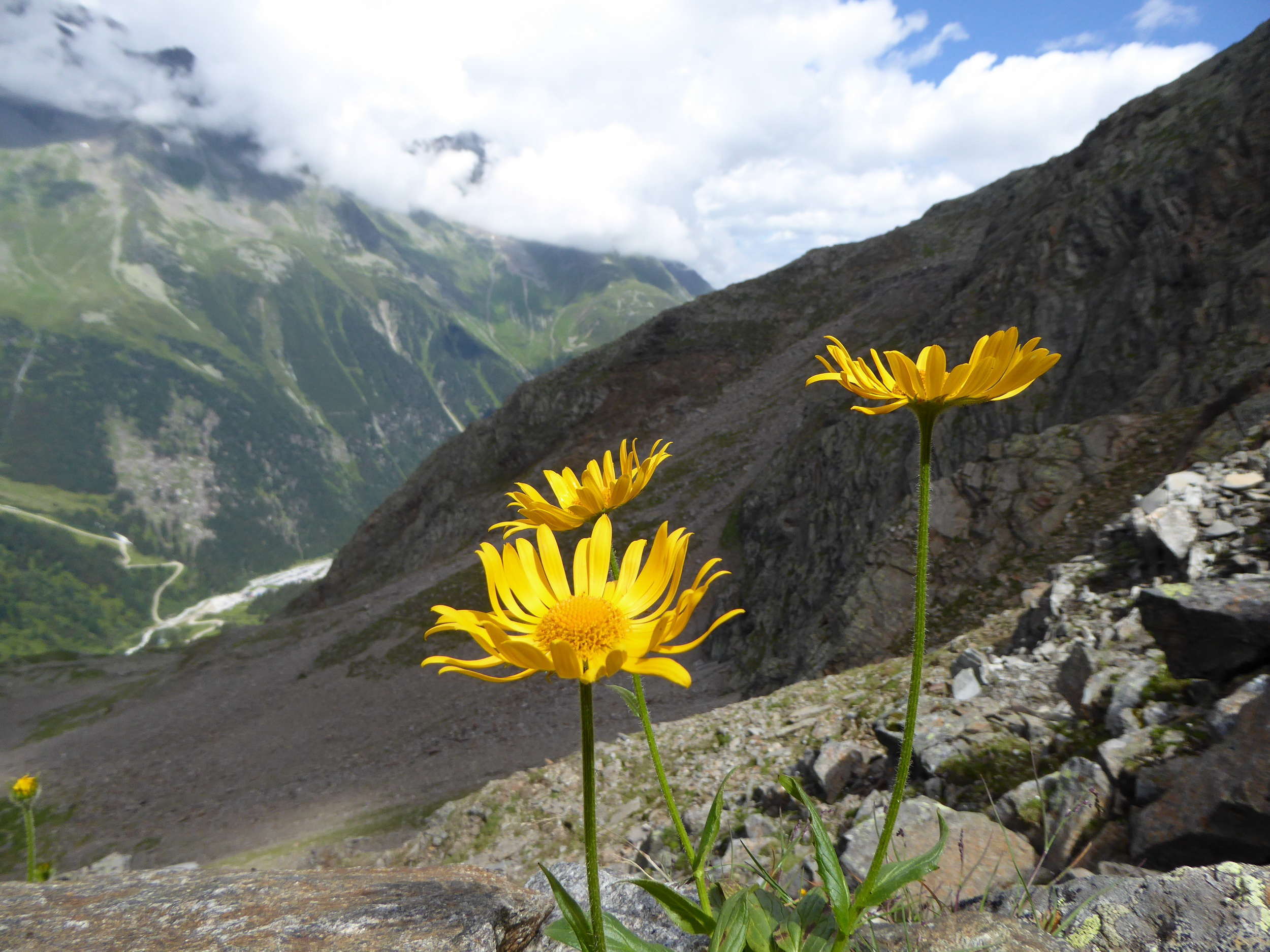 Stubaier Höhenweg übers Peiljoch